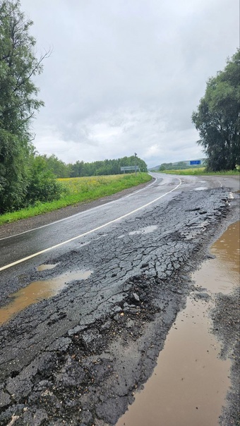 Поздравление и.о.главы Кувандыкского городского округа Ильи Ермолаева с Днем Воздушно-десантных войск